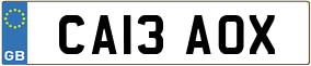 Trailer License Plate